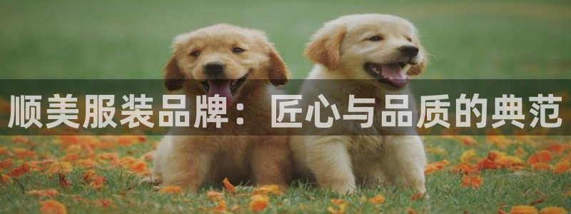 开丰娱乐寸六七五一38