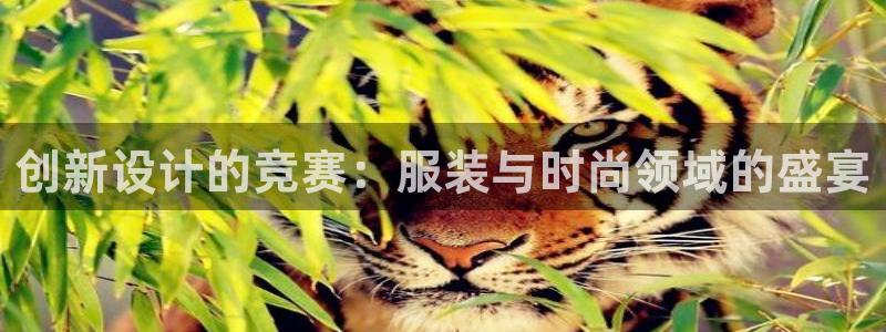开丰娱乐更多平台