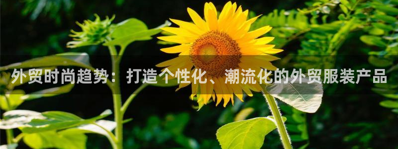 开丰娱乐登入地址