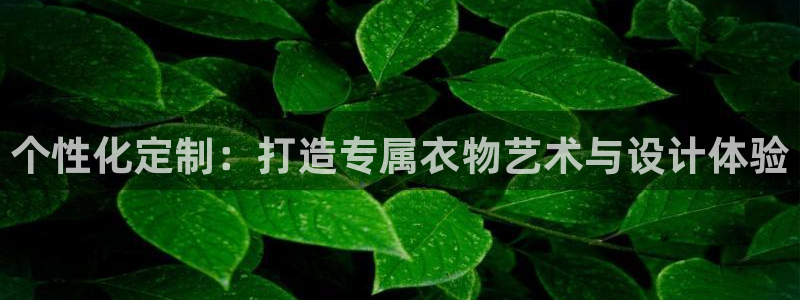 开丰娱乐 赢咖一