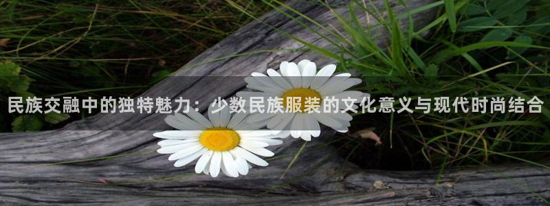 开丰娱乐地址