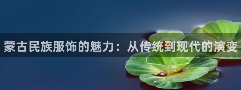 开丰娱乐天富娱乐