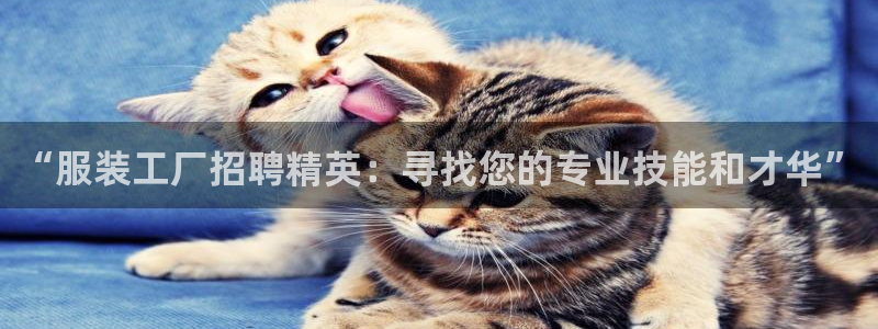 开丰娱乐下载安装