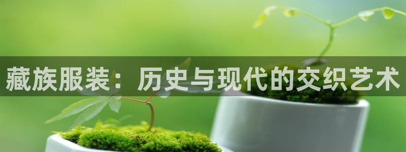 开丰娱乐科技