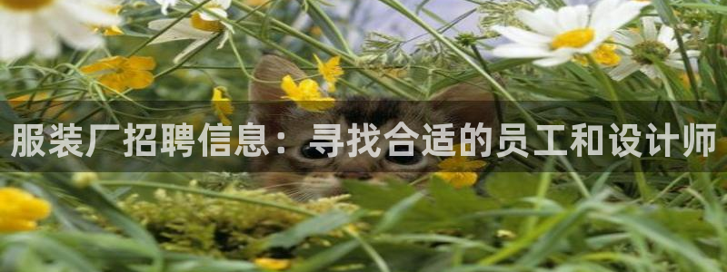 开丰娱乐咋7O777