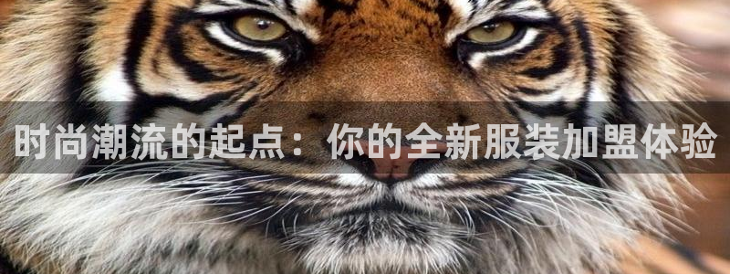 开丰娱乐巾67五壹叁八
