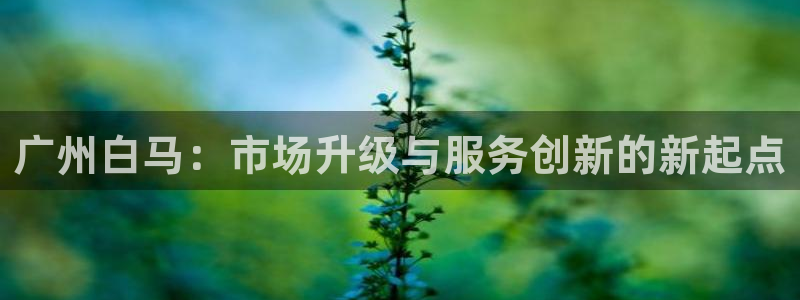 开丰娱乐科技