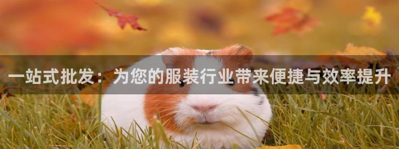 开丰娱乐月7O667