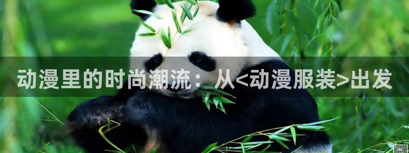 开丰娱乐平台官网网址