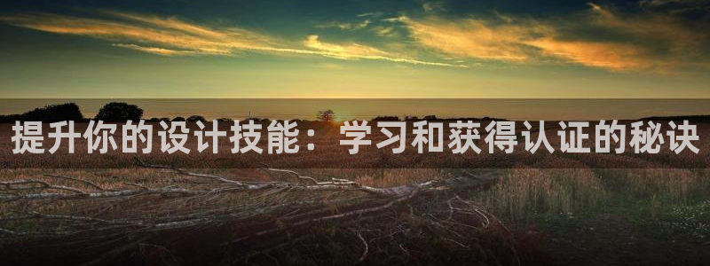 开丰娱乐平台