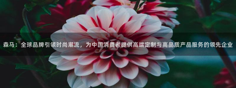 开丰娱乐科技