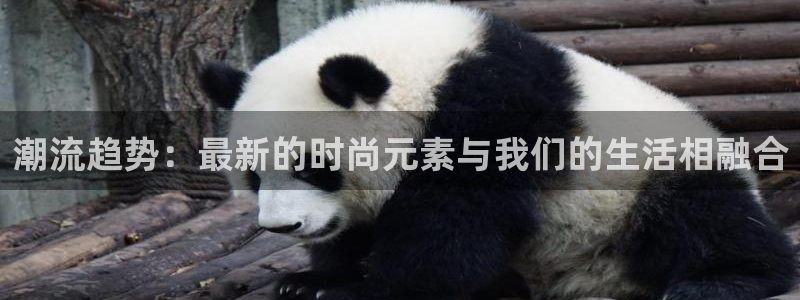 开丰娱乐后