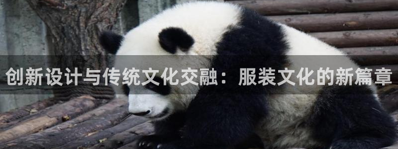 开丰娱乐登录平台下载