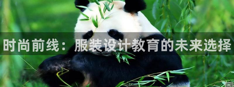 开丰娱乐平台官网网址