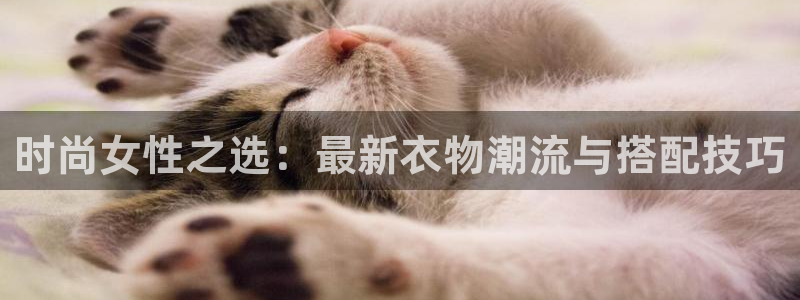 开丰娱乐月7O667