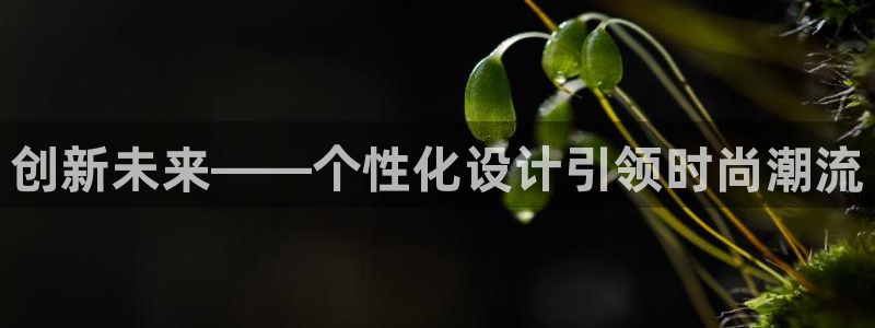 开丰娱乐登入地址在哪查
