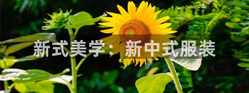 开丰娱乐山67五壹叁八