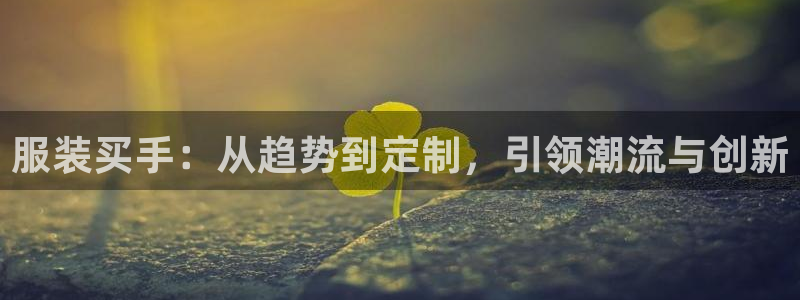 开丰娱乐后