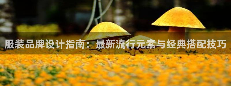 开丰娱乐天富娱乐