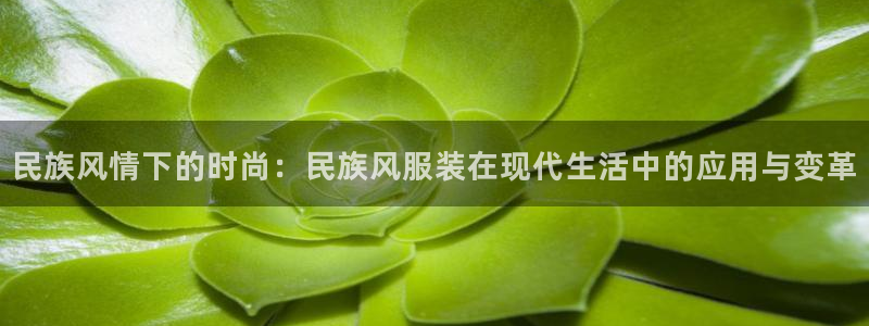 开丰娱乐官网平台电话