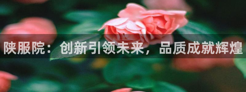 开丰娱乐平台