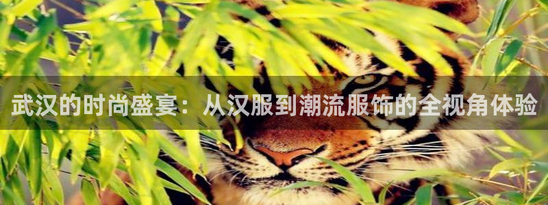开丰娱乐咋7O777