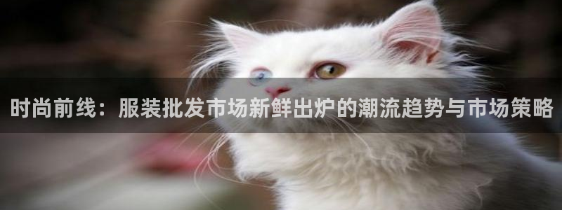 开丰娱乐登陆