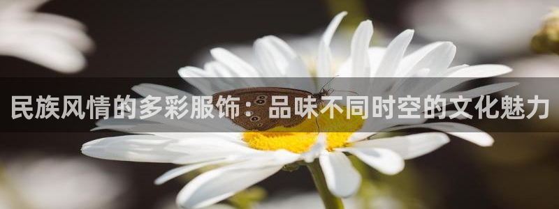 开丰娱乐登入地址