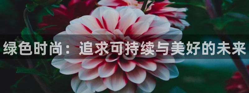 开丰娱乐网站官网入口