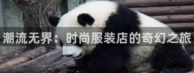 开丰娱乐平台地址查询