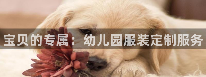 开丰娱乐怎么样