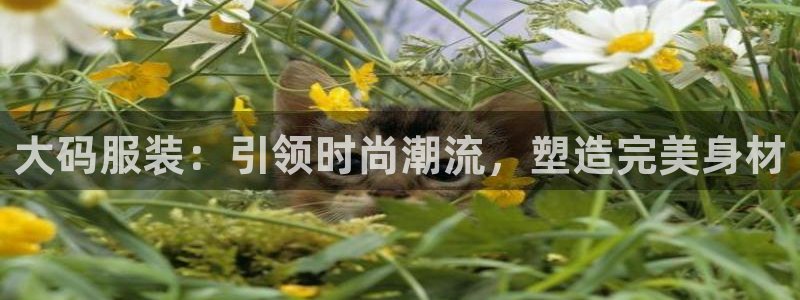 开丰娱乐登入地址是什么