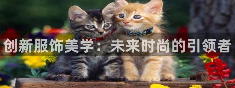 开丰娱乐官网平台电话