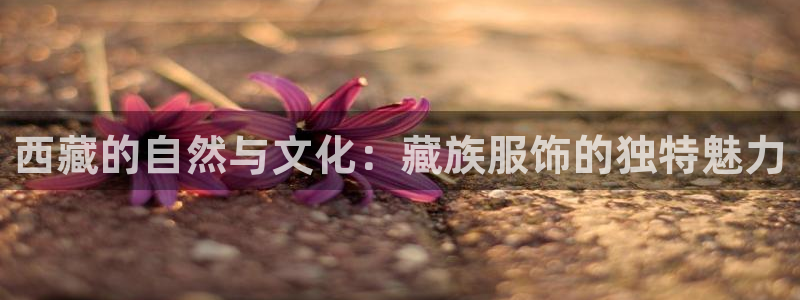 开丰娱乐与六七五一38