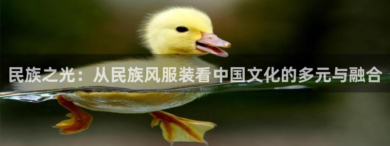 开丰娱乐注册登录不了