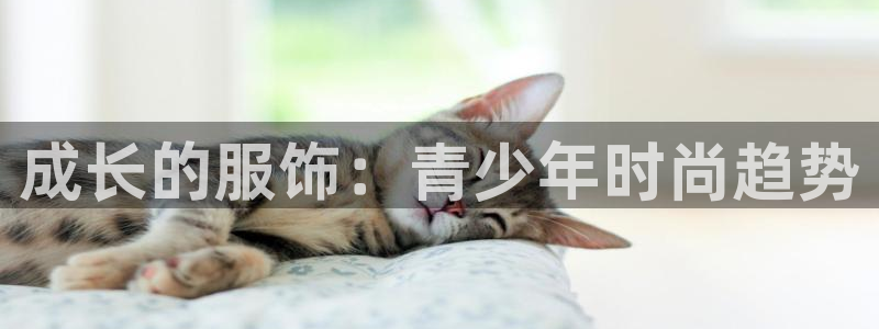 开丰娱乐官网平台网址