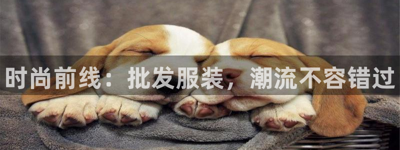 开丰娱乐千67五壹叁八