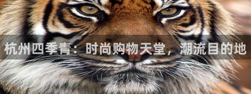 开丰娱乐注册系究耍333OO