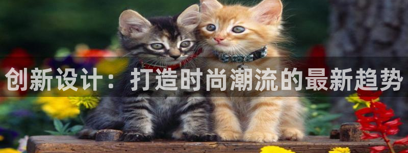 开丰娱乐登入地址在哪