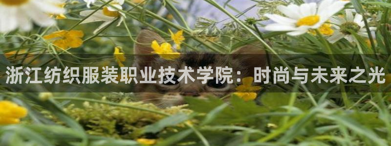 开丰娱乐平台地址