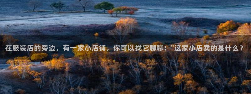 开丰娱乐体育平台