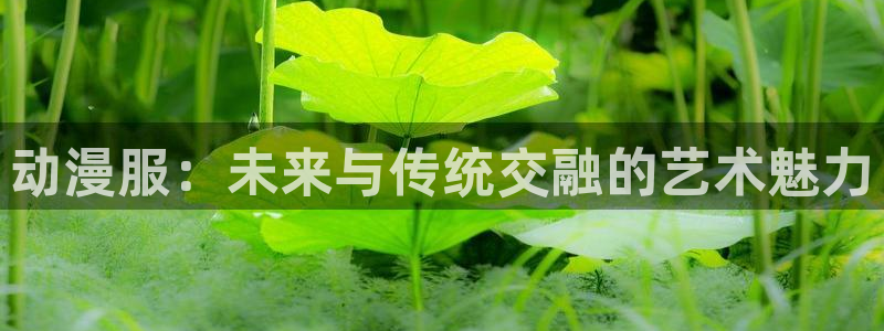 开丰娱乐乙833_43