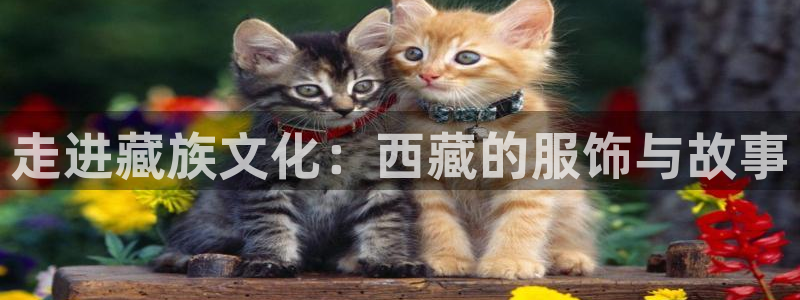 开丰娱乐下7O667