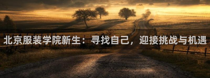 开丰娱乐地址查询