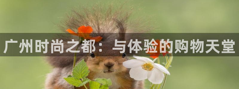 开丰娱乐官网电话