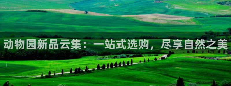 开丰娱乐月7O667