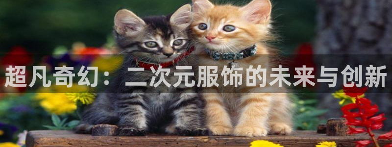 开丰娱乐咋7O777