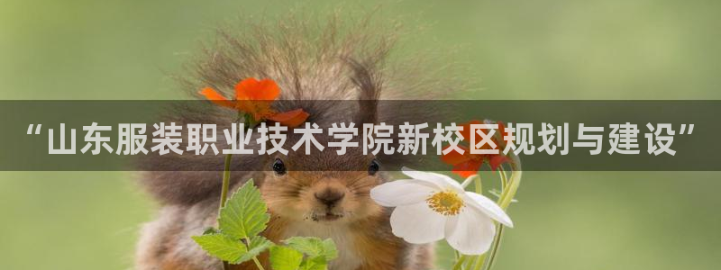 开丰娱乐于六七五一38