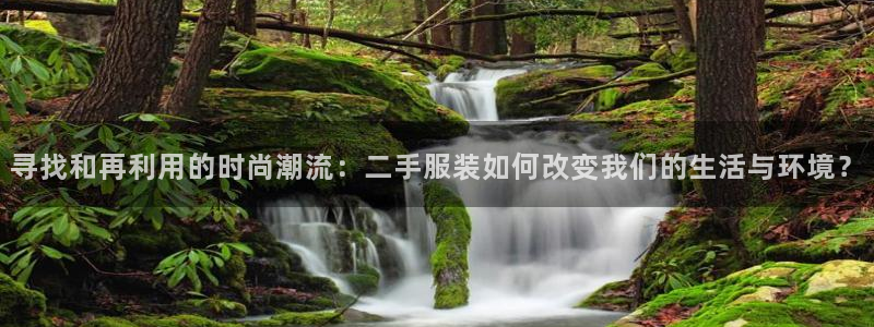 开丰娱乐乙833_43