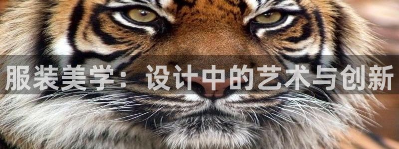 开丰娱乐与六七五一38